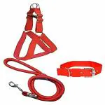 Smart Doggie Combo Pack Of Padded Chest Belt , Collar and Rope For Your Pet Dogs . (Medium (1 inch), Red)