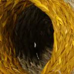 Jharcraft (A Jharkhand Govt. Enterprise) SABAI GRASS PEN STAND (2)