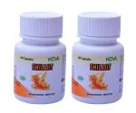 2 KEVA SHILAJIT (AYURVEDIC, PACK OF 60 CAPSULES)