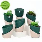 Eha Earth Friendly EcoBloom Small Self Watering Pots for Plants | 4 Inch, Set of 6 | Bamboo Based and UV Protected Planters | Pots for Indoor Plants | for Home Decor, Outdoor, Balcony & Garden | Fern