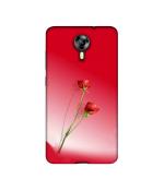 Casotec Red Roses Design Printed Silicon Soft TPU Back Case Cover for Micromax Canvas Xpress 2 E313
