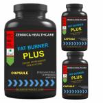Zemaica Healthcare Fat Burner Plus, Body Weight, Weight Loss fat cutter, capsule, Pack of 3