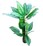 Kaykon Green Plastic Artificial Money Plant