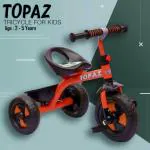 Pandaoriginals Red Plastic Strongest Frame Topaz Tricycle For Kids (2-5 Yrs)