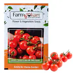 FARMGOKART | 5 Gms RED CHERRY TOMATO Seeds| for Home Gardening, Farming, Hydroponics & Poly Houses|