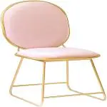 RONAK HANDICRAFTS Creativity Armchair, Modern Iron Art Bar Chair Girls Pink Dressing Table Chair Dining Chair Cafe Tables And Chairs Lounge Chair Hotel Decoration