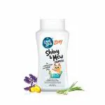 Captain Zack Zoey Cat & Kittens Shampoo for All Breeds | Shiny & Mew 200ml Sulphate Free | Soothes Itchy Skin, Natural Deodorizer, Natural Tick & Flea Repellent | Paraben Free, Vegan & Cruelty Free