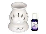 Divine Home White Ceramic Electric Oil Diffuser with Aroma Oil (Pack Of 2)