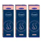 Satya Ganesha Incense Sticks (Pack of 3) (11 Pencil Sticks Each Box)