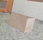 BHARAT PAPERS Fall Gift Bag Maple Leaf Elements Party Treat Bags Kraft Paper Orange Gift Bags with Handles Autumn Leaves Themed Thanksgiving Wedding Parties Birthday Bridal Shower Party Favors (pack of 10)-a37