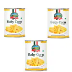 Caneen Baby Corn 800 Gm ( Pack of 3 )