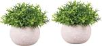 Dekorly Plastic Green Artificial Plants Small Mini Grass Fake Plant Ideal (Pack Of 2)