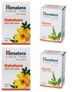 Himalaya Gokshura 60 Tabs (2 Packs) and Arjuna 60 Tabs (2 Packs)