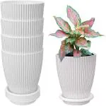INKULTURE Plastic Round Flower Pots for Home Planters, Terrace, Garden Etc | Pack of 05 (White)