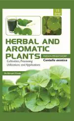 11. Centella asiatica (Indian Pennywort)