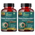 Humming Herbs Saw Palmetto Plus Prostate Support - Enhanced Formula with Quercetin, Turmeric, Pygeum, Vitamins E & B6, Zinc, Selenium for Men's Health - 60 Capsules - Pack of 2