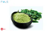 FOLS CURRY LEAF POWDER | SWEET NEEM POWDER | CURRY MIX | 300 GM