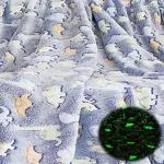 AHC Blue Dino Polyester Glow In The Dark Microfiber Blanket For Kids