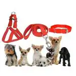 Senapati Dog Combo Pack of Harness Neck Coller Belt and Lease Set (X-Red Small)