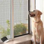 Mr. Right Mosquito Net for Windows (120x130CM), Fiberglass Mesh, Pre-stitched with Installation Kit (Grey)