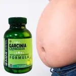 Omni Ayurveda Garcinia Cambogia | 100% Vegetarian & Natural Appetite Controller | 60 Capsules