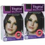 Vegetal Burgundy Bio Hair Colour, 50 gm - Pack Of 2