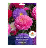 ANDHAGNAI Greens Imported Flower Seeds- Astro Princess (Aster) Multicolor Summer Flower Seeds Pack Of 2Gm