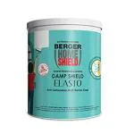 Berger White Plastic Home Shield Damp Shield Elasto - 4 L