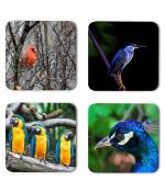 Whats Your Kick Birds Lover Parrots With Peacock Printed Set of 4 Coaster With Metal Stand