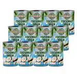 Nature's Spice Coconut Milk with 17% Fat - 4800ml, Mega Saver Combo Pack of 12 x 400ml Can (Carton Pack)