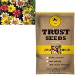 Trustbasket Multicolor Zinnia Flowers GMO-Free Seeds (1)