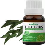 ESSANCIA Eucalyptus Essential Oil for Hair, Beard, Skin, Face, Clear Breathing, Muscle Pain and Aromatherapy