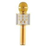 D & Y-Careflection Battery Powered Wireless Singing and Multifunction Bluetooth Karaoke Mic with Microphone (Multicolor)