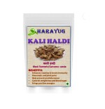 HARAYUG Kali Haldi - Narkachur - Nar Kachur- Nar Kachoor - Black Turmeric - Curcuma zerumbet 300 GM
