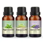 Young Chemist Peppermint,Lemongrass and Lavender Essential Oil Hair Growth and Aromatherapy for Hair 45 ml Pack of 3