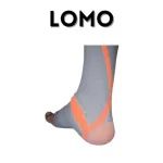 LOMO LUXE ANKLE SUPPORT