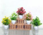 Saf Set Of 5 Artificial Flower Plant For Home, Office, Garden And Table Decor Bonsai Wild Artificial Plant With Pot    (19 Cm, Multicolor)