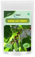 Yamkay Banyan Leaf Bargad Leaves Aalam ilai powder 100 gm