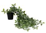 Kuber Industries Green Plastic Artificial Vine Plants with Pot
