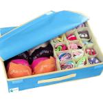QUAIL Lingerie Organizer | Bra Organiser | Undergarments Storage Box | With Lid Non Woven Drawer Wardrobe Organizer Foldable Storage Box Organiser - Light Blue
