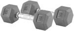 TTC FITNESS (1kg)1 pair hexagonal dumbell Fixed Weight Dumbbell (1 kg)