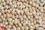FOLS PREMIUM CHICKPEAS | KABULI CHANA / CHHOLE | 1 KG