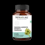 MINATURE Fadogia Agrestis Extract Capsules black aphrodisiac (Health) |120 Caps