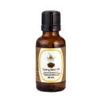 KUNJ Celery Seed oil (Apium graveolens) 100% Pure & Natural Undiluted Therapeutic Grade. Steam Distilled. For massage & Aromatherapy and diffusers. 100ML