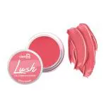 Clensta Lush Blush lip and cheek tint - Brick Berry| 5 gm| With Red Aloe Vera and Jojoba Oil| Better Lip Tone and Soft Texture| Cheeks Blush