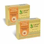 Earthy Sapo Multani Touch Cleansing Bathing Soap, 100g x 2