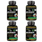 Zemaica Healthcare|Extra Fat Burner|ayurvedic product for Body Fat Burn, Whey Supplement extra fat loss|Flavor Mango|Pack of 4