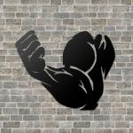 METSY Biceps (10 inch X 15 inch, Black)