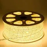 Astern Yellow Rice Lights 600 LED/5inch