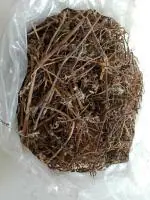 Tamransh Goyal Group Bhringraj Leaves, Eclipta Alba Seeds, Patta, False Daisy Seed, 100 Seeds